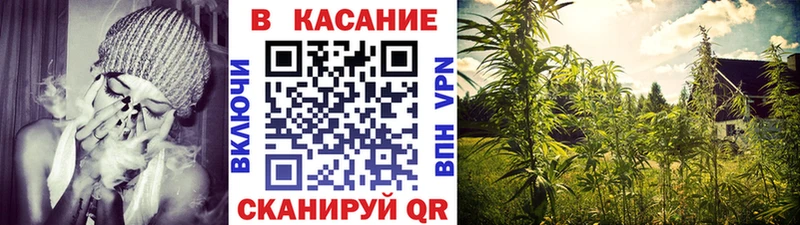 Все наркотики Рассказово Амфетамин  Бошки Шишки  А ПВП  Меф мяу мяу  ГАШИШ 