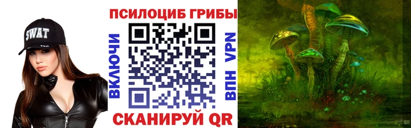 Галлюциногенные грибы Psilocybe Рассказово