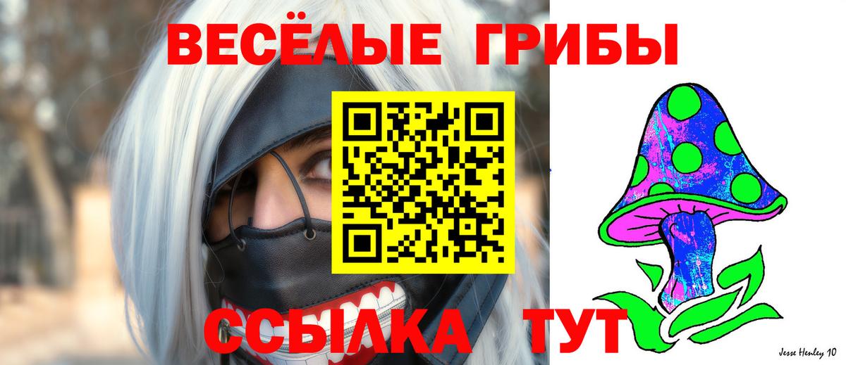 Рассказово  Псилоцибиновые грибы прущие грибы  Вход с VPN 